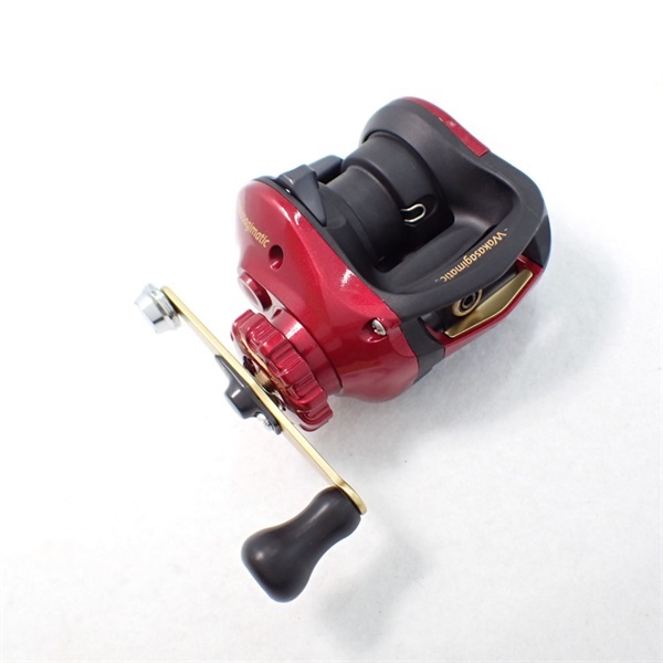 ０９ワカサギマチックＲ